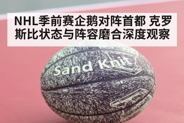 NHL季前赛企鹅对阵首都 克罗斯比状态与阵容磨合深度观察
