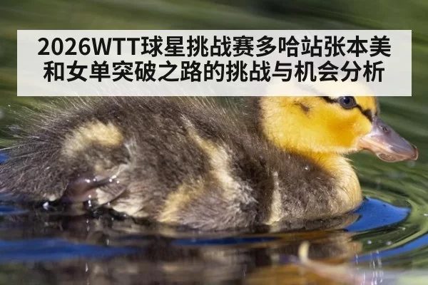 2026WTT球星挑战赛多哈站张本美和女单突破之路的挑战与机会分析